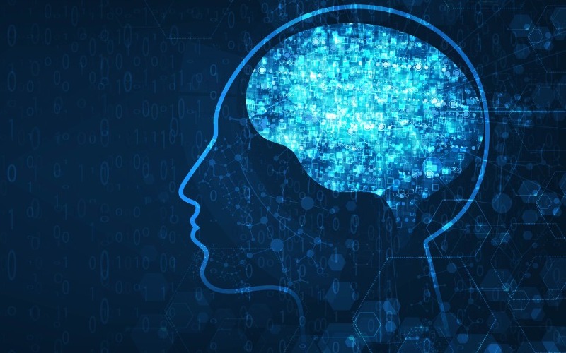 cerebro