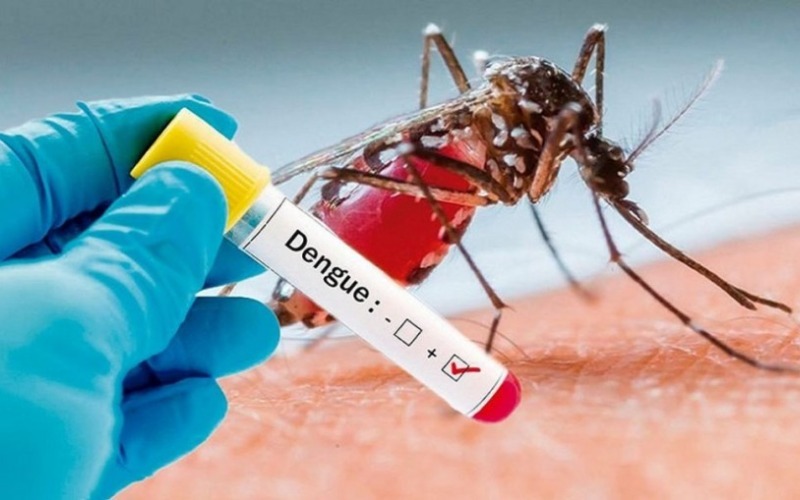 prevenir el dengue